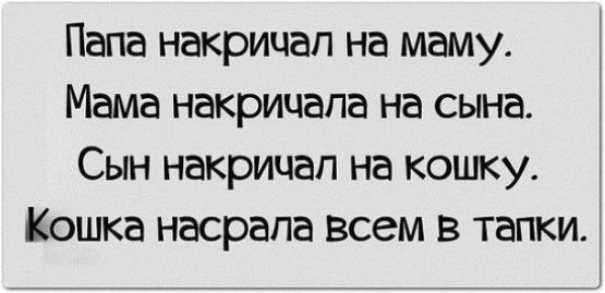 Папа накричап на маму Мама накрицапа на сына Сын накрицап на кошку Кошка насрапа Всем в тапки