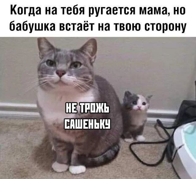 Когда на тебя ругается мама но бабушка встаёт на твою сторону 5 _ ДнЕ тппжь _ _ ЕПШЕНЬКН __