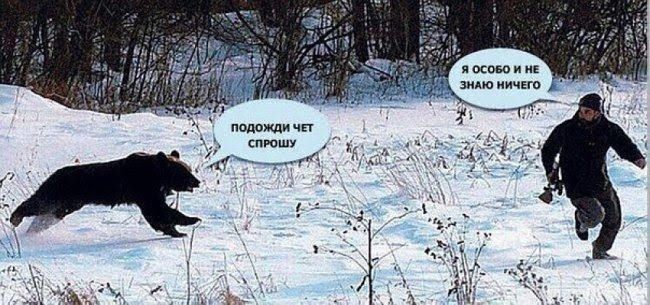 помишичп к спюшу 211 ш _