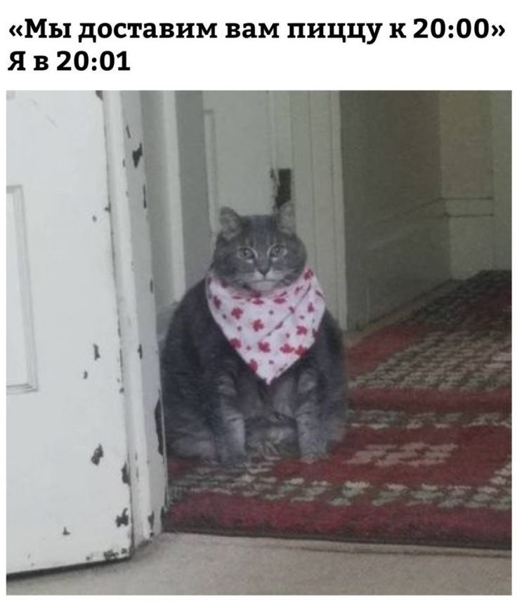 Мы доставим вам пиццу к 2000