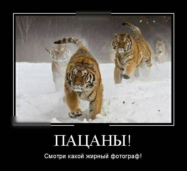 ПАЦАНЫ Смотри какой жирный фотограф