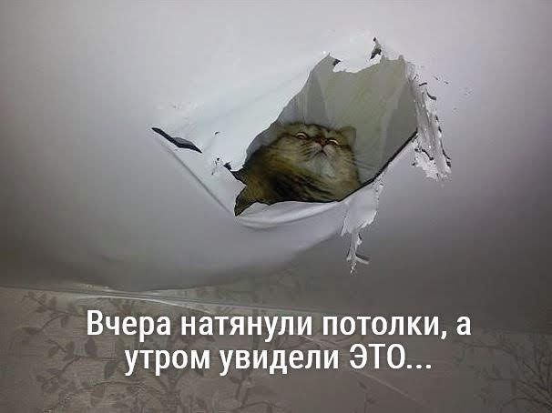Ётянули потолки а утром увидели ЭТО