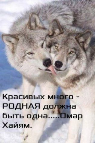 быть одна Хайям