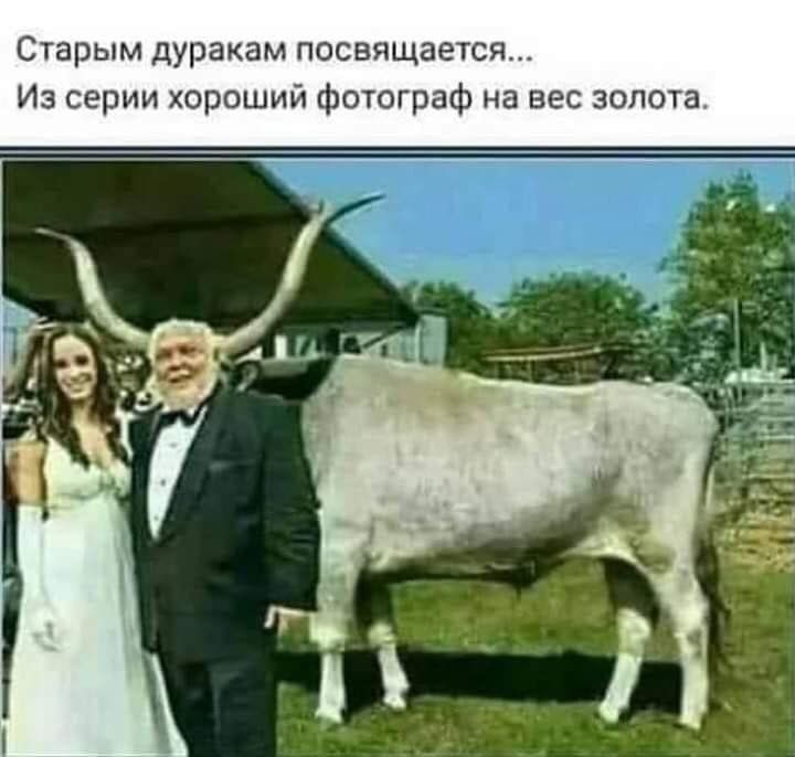 Старым дуракам посвящается Из серии хороший фотограф на вес золота