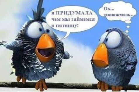 ничью И п чщцы шчппн
