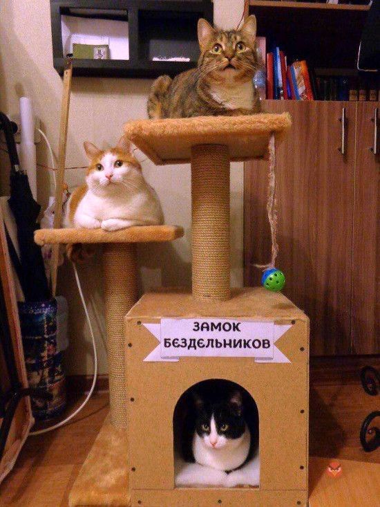 _ БЕЗДСЛЬНИКОВ