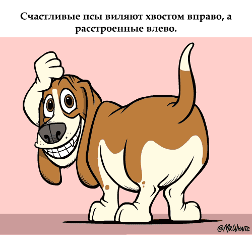 Счастливые псы виляют хвосгом вправо расстроенные влево
