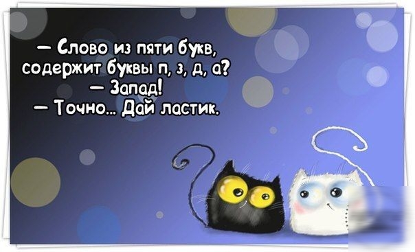 Слово и пяти букв содержит буквы п 3 д а Запад Точно дой ластик