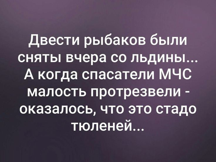 Двести рыбаков были сняты вчера со льдины А когда спасатели МЧС малость протрезвели оказалось что это стадо тюленей