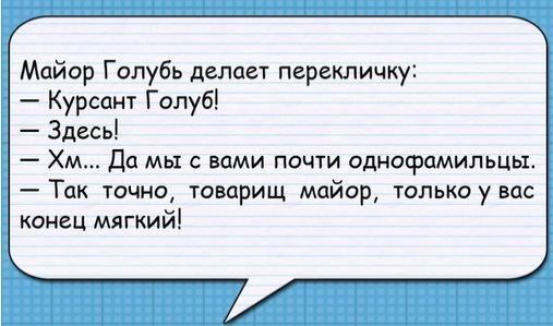 Майор Голубь делает перекличку Курсант Голуб Здесь Хм да мы с вами почти однофамильцы Так точно товарищ майор толькоувас конец мягкий