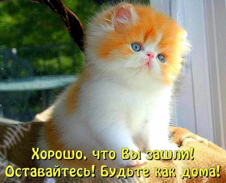 ибставате ща