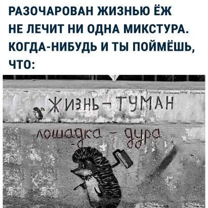 РАЗОЧАРОВАН ЖИЗНЬЮ ЁЖ НЕ ЛЕЧИТ НИ ОДНА МИКСТУРА КОГДА НИБУДЬ И ТЫ ПОЙМЁШЬ