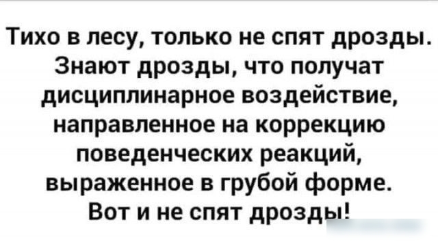 Тихо в лесу только не спят дрозды Знают дрозды что получат дисциплинарное воздействие направленное на коррекцию поведенческих реакций выраженное в грубой форме Вот и не спят дрозды
