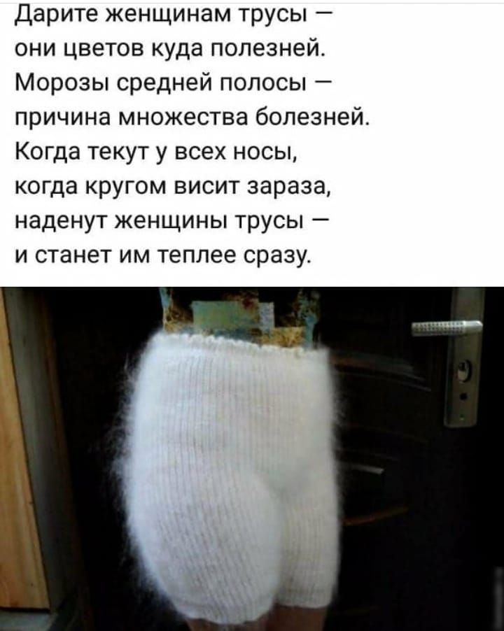 Дарите женщинам трусы они цветов куда полезней Морозы средней полосы причина множества болезней Когда текут у всех носы когда кругом висит зараза наденут женщины трусы и станет им теплее сразу
