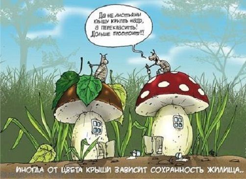 ОТ ЦЕПИ ВМТ СОХРАННОСГЪ химии