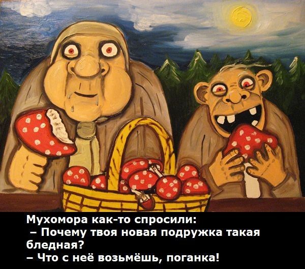 Мухомора как то спросили Почему твоя новая подружка такая бледная Что с неё возьмёшь поганка