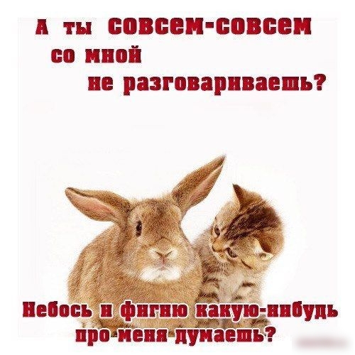 тн БОВЕВПЁОВЕВП со ПОі ПЕ РЗЗГОВЗРПВЗЕШЪТ