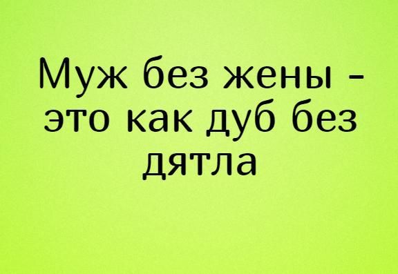 Муж без жены это как Дуб без дятла