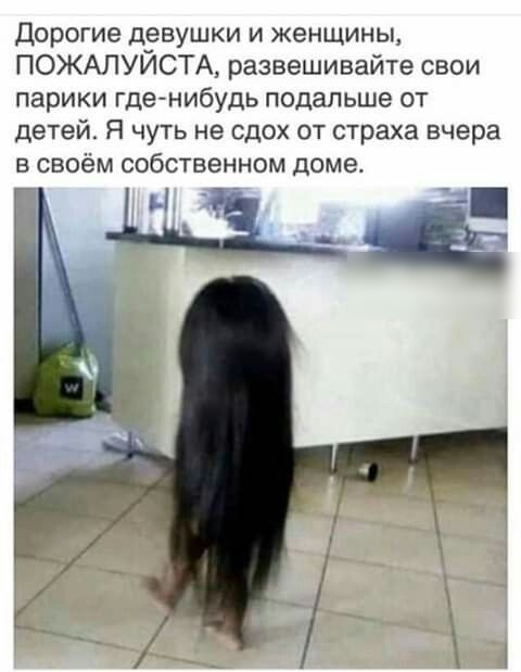 Дорогие девушки и женщины ПОЖАЛУЙСТА развешивайте свои парики где нибудь подальше от детей Я чуть не сдох от страха вчера в своём собственном доме