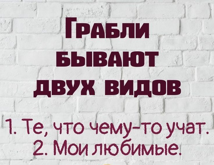 Тед зли вывдют двух видов 1 Те что чемуто учат _2 Мои любимые