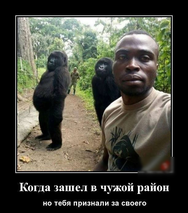Когда зашел в чужой район НО тебя признали за СВОЕГО