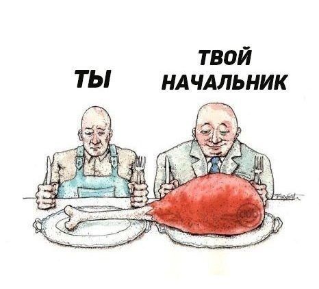 твой ты ндчдльник