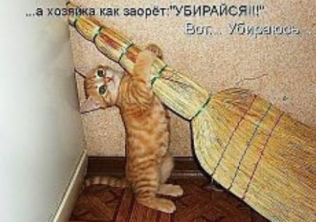 а хозяйка как заорет УБИРАЙСЯН Эш 39
