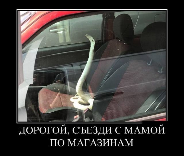 ПО МАГАЗИНАМ