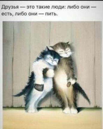 друзья то такие люди либо они есть либо они ПИТь