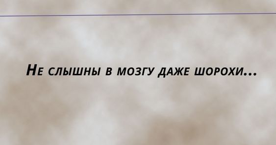 НЕ СЛЫШНЫ В МОЗГУДАЖЕ ШОРОХИ
