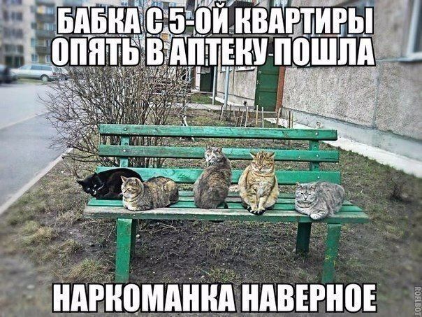 5 или от ндвъгноі