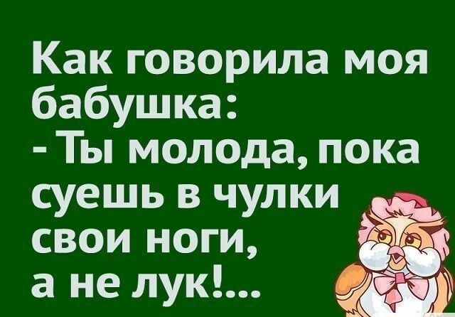 Как говорила моя бабушка Ты молода пока суешь в чулки свои ноги а не лук