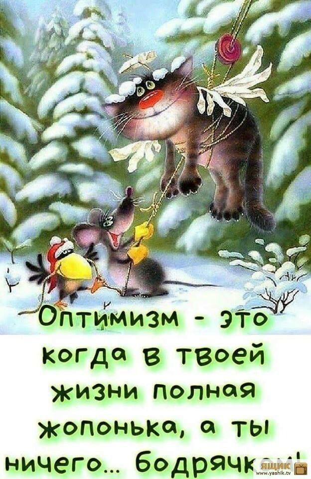 когда в твоей ЖИЗНИ полная ЖОПОнька ТЫ ничего бодрячкащиёі ииииииииии