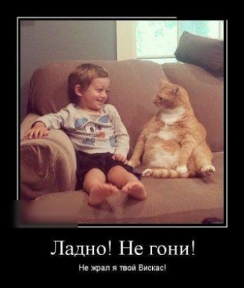 Ладно Не гони Не при и Вивис