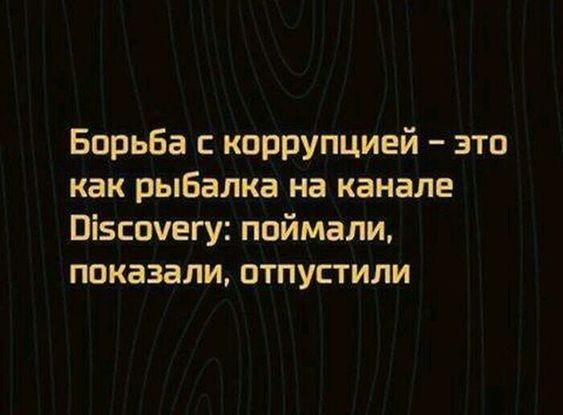 Борьба коррупцией это как рыбалка на канале Візсочегу поймали показали отпустили