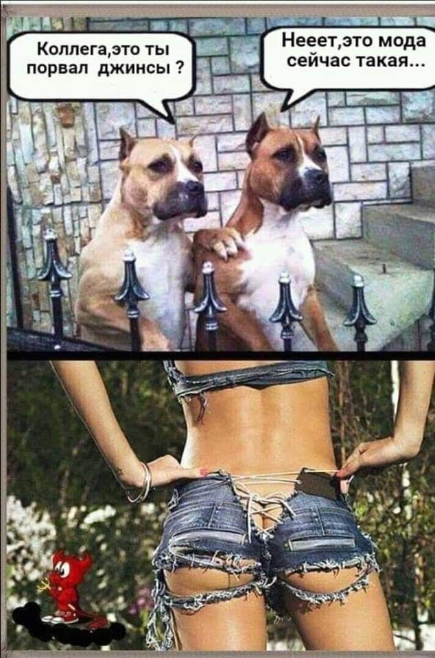 Коллегаэто ты порвал джинсы