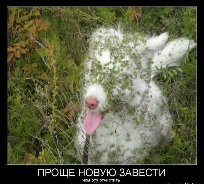 ПРОЩЕ НОВУЮ ЗАВЕСТИ чем пу ычипить