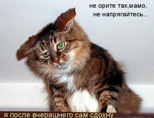не зрите такмамо не напряшйтесь