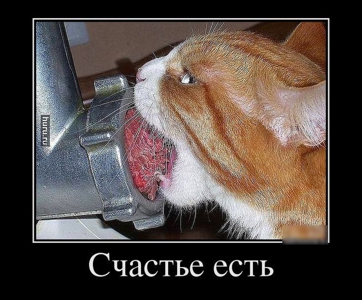 Счастье есть