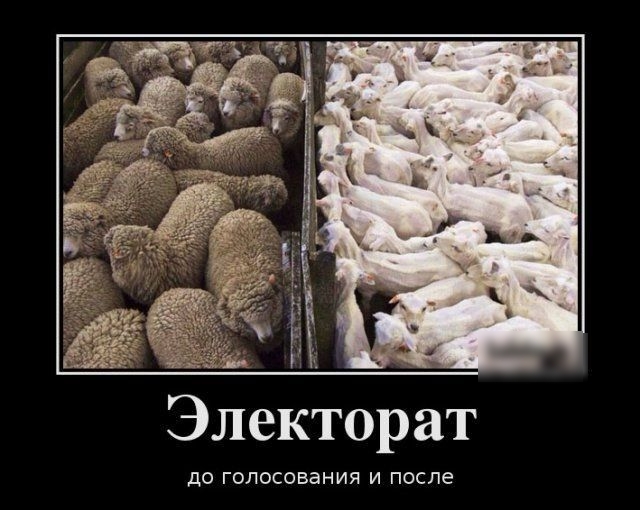 Электорат ДО ГОЛОСОБЭНИЯ И после
