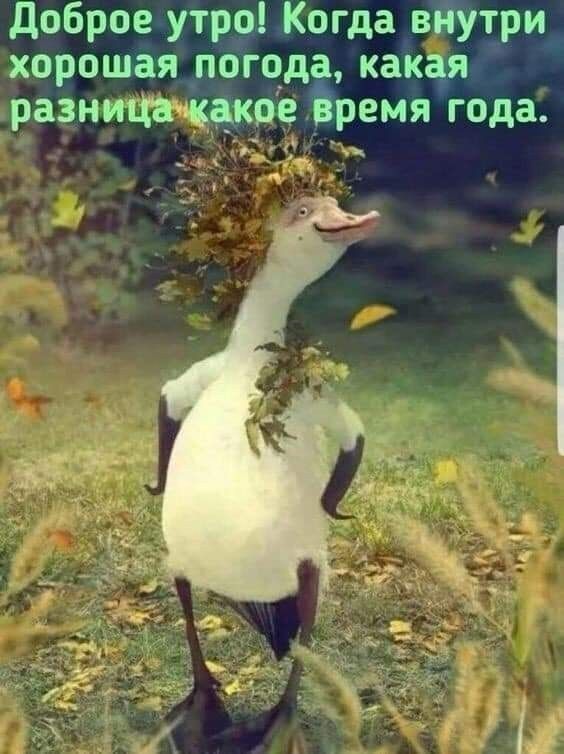 Доброе утро Когда ві Гутри хорошая погода какеяу разница какое Зремя года