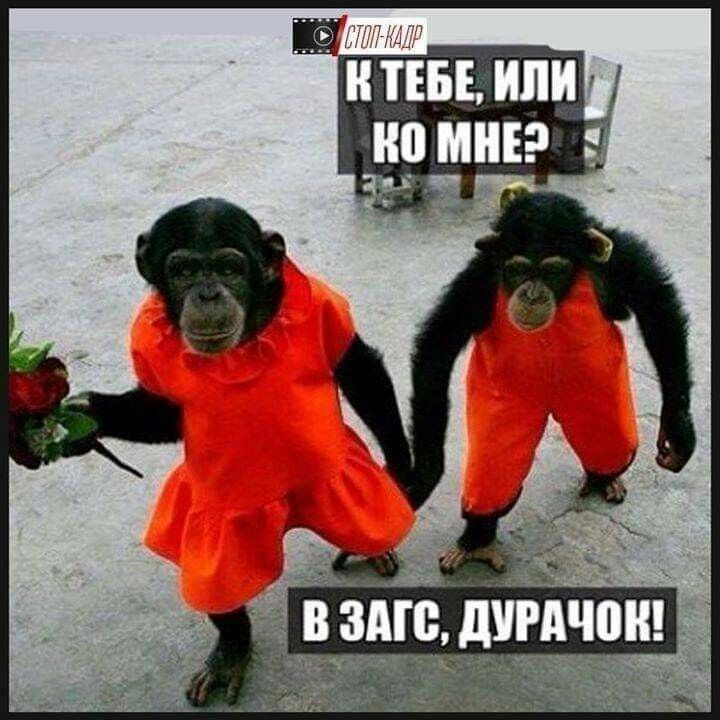 в это дігдчіон _