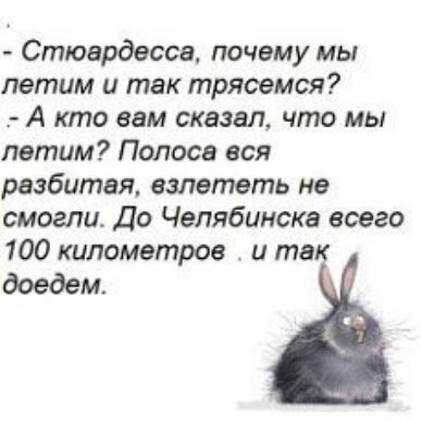 Стюардесса почему мы летим и так трясемся А кто вам сказал что мы летим Полоса вся разбитая взлететь не смогли До Челябинска всего 100 километров и так доедем
