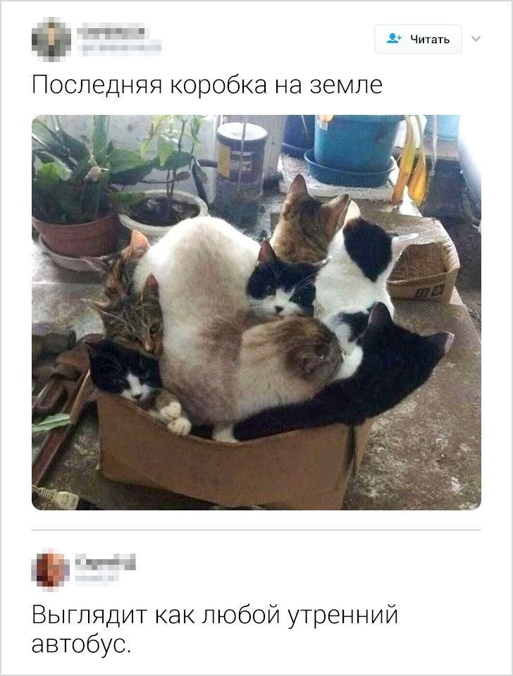 ч Последняя коробка на земле НЧ Выглядит как любой утренний автобус