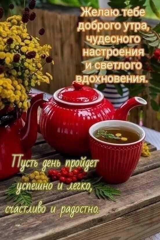 _ д пд т _ к у