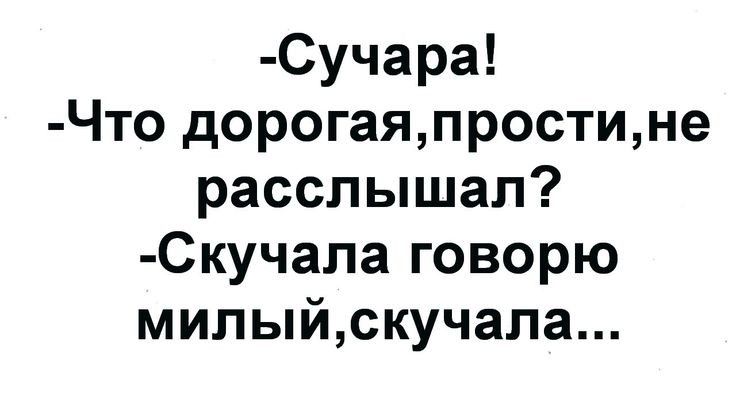 Сучара Что дорогаяпростине расслышал Скучала говорю милыйскучала