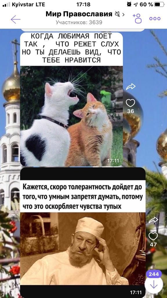 Куіузіаг ЬТЕ 1718 4 60 Мир Православия 0 о 000 _ КОГДА ЛЮБИМАЯ ПОЕТ ТАК ЧТО РЕЖЕТ СЛУХ но ты ДЕПАЕШЬ вид что ТЕБЕ НРАВИТСЯ Г Кажется скоро толерантность дойдет до того что умным запретят думать потому _ что это оскорбляет чувства тупых