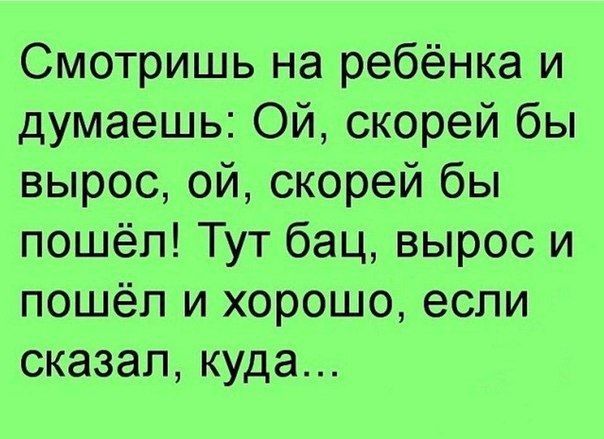 Смотришь на ребёнка и думаешь Ой скорей бы вырос ой скорей бы пошёл Тут бац вырос и пошёл и хорошо если сказал куда
