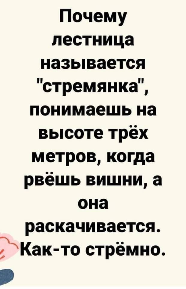 Почему лестница называется стремянка понимаешь на высоте трёх метров когда рвёшь вишни а она раскачивается Как то стрёмно