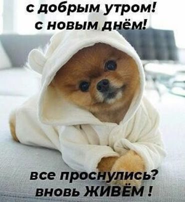с добрым утром с новым лич